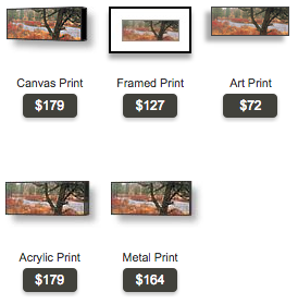 buy Oregon panoramic photo of juniper tree and deschutes river by Ross Wordhouse