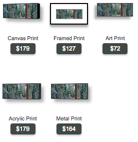 buy panoramic photo of black butte forest by Ross Wordhouse