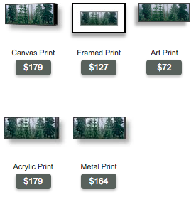 panoramic photo of foggy black butte forest and pine trees by Ross Wordhouse