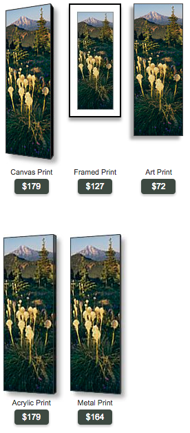 buy panoramic photo of Mt. Jefferson and beargrass by Ross Wordhouse