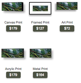 buy Oregon panoramic photo of lower proxy falls by Ross Wordhouse