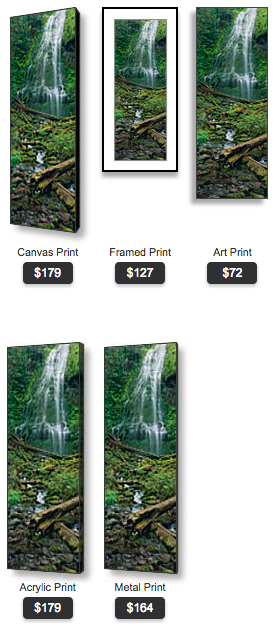 buy Oregon vetical panoramic photo of lower proxy falls by Ross Wordhouse