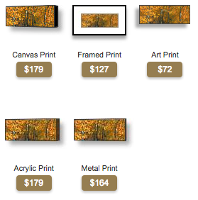 order bend oregon aspen panoramic photo