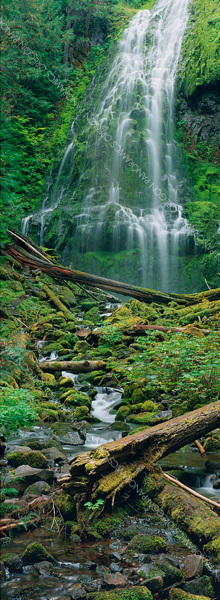 Oregon vertical panoramic photo of lower proxy falls by Ross Wordhouse