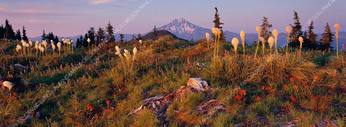 Oregon panoramic photo of Mt. Jefferson and beargrass during a sunset by Ross Wordhouse