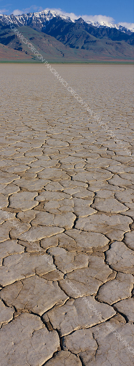 Oregon vertical panoramic photo of the alvord desert and the steens mountians by Ross Wordhouse